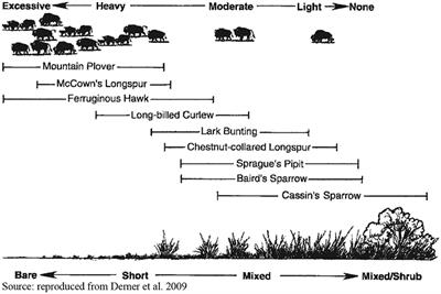 Grazing Into the Anthropocene or Back to the Future?